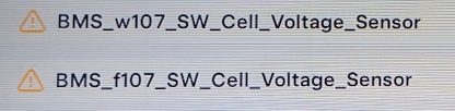 Tesla BMS_w107, BMS_f107 alert clear
